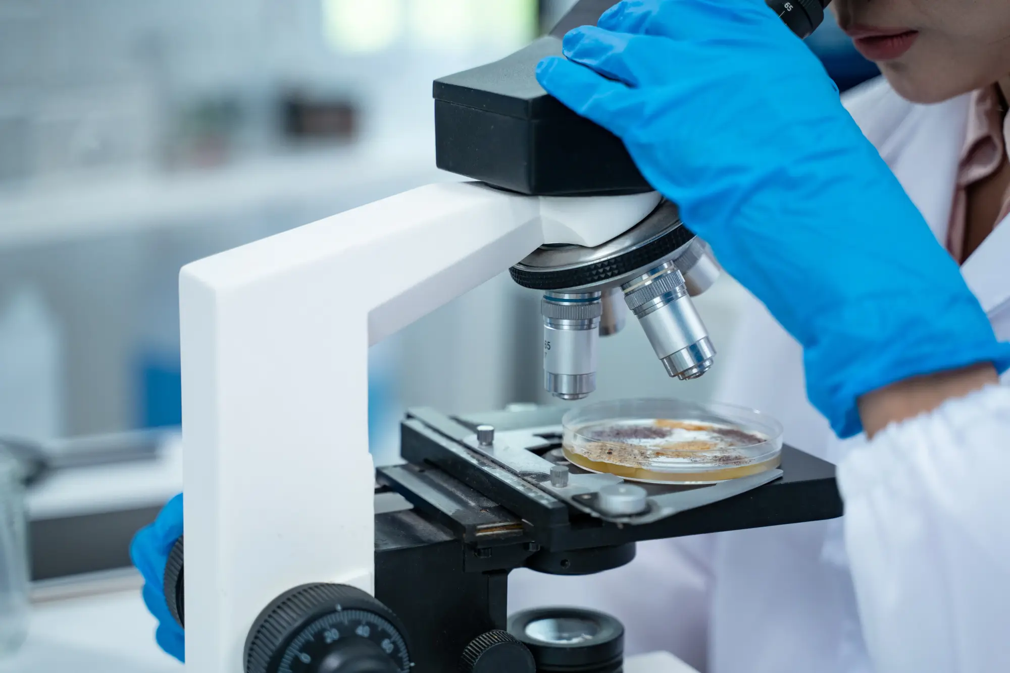 Scientist examining mould sample under microscope